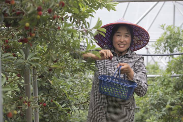 建德人才网最新招聘，探索人才汇聚的新高地