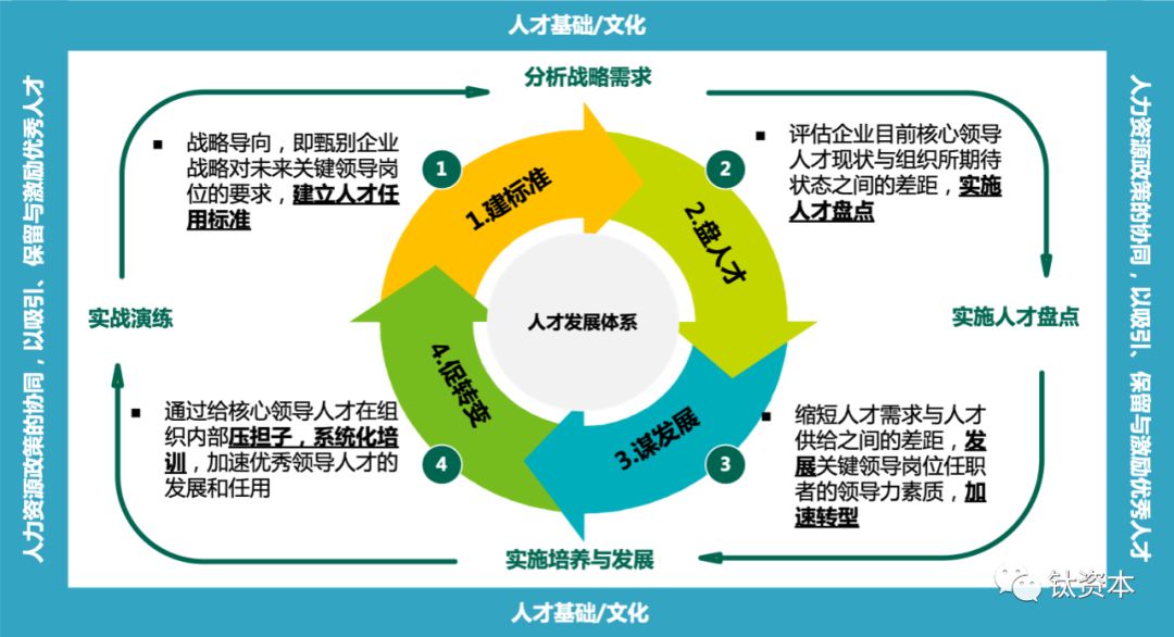 集团招聘人才网，构建高效人才生态，驱动企业持续发展