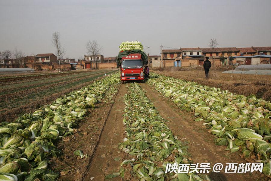 激光切割机孔割偏的成因与解决方法