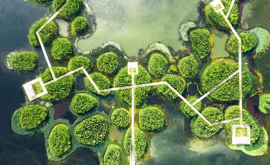 航空餐招工最新招聘信息，开启您的职业新篇章